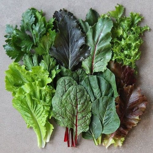 Mezclum (bolsa 300g)