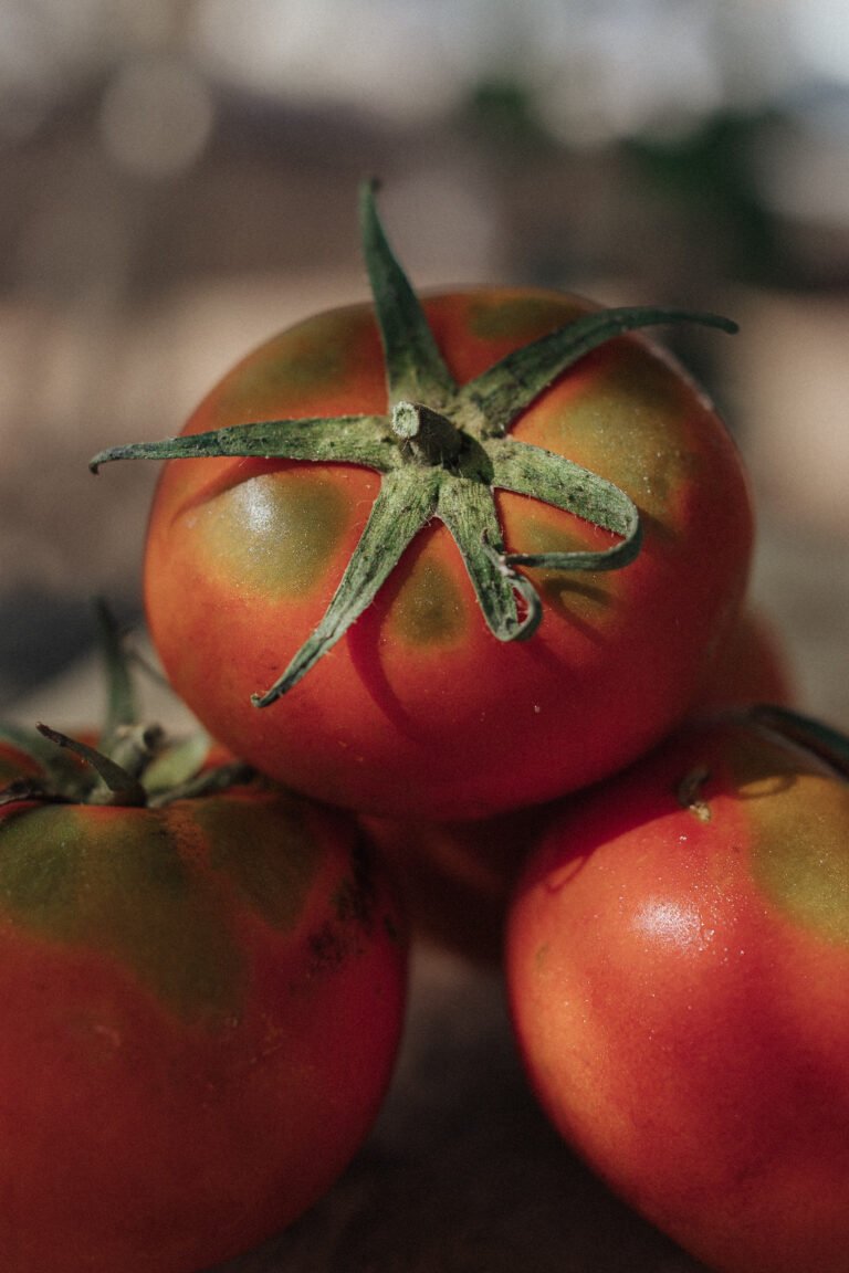Tomate ensalada Lanzarote